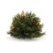 Melrose Pine Half Orb Artificial Christmas Bush with Pinecones - 7" - Set of 2